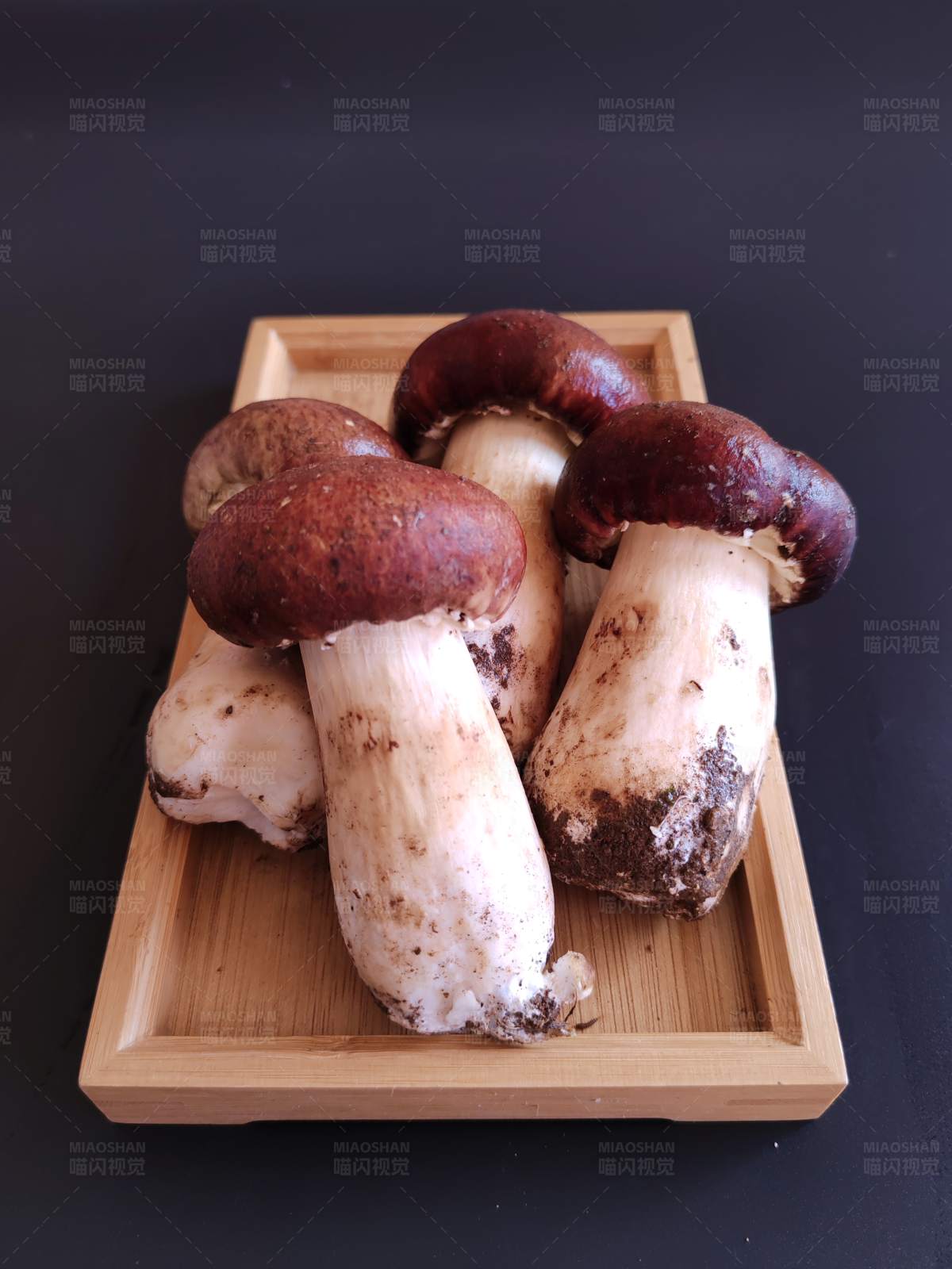 新鲜牛肝菌图片