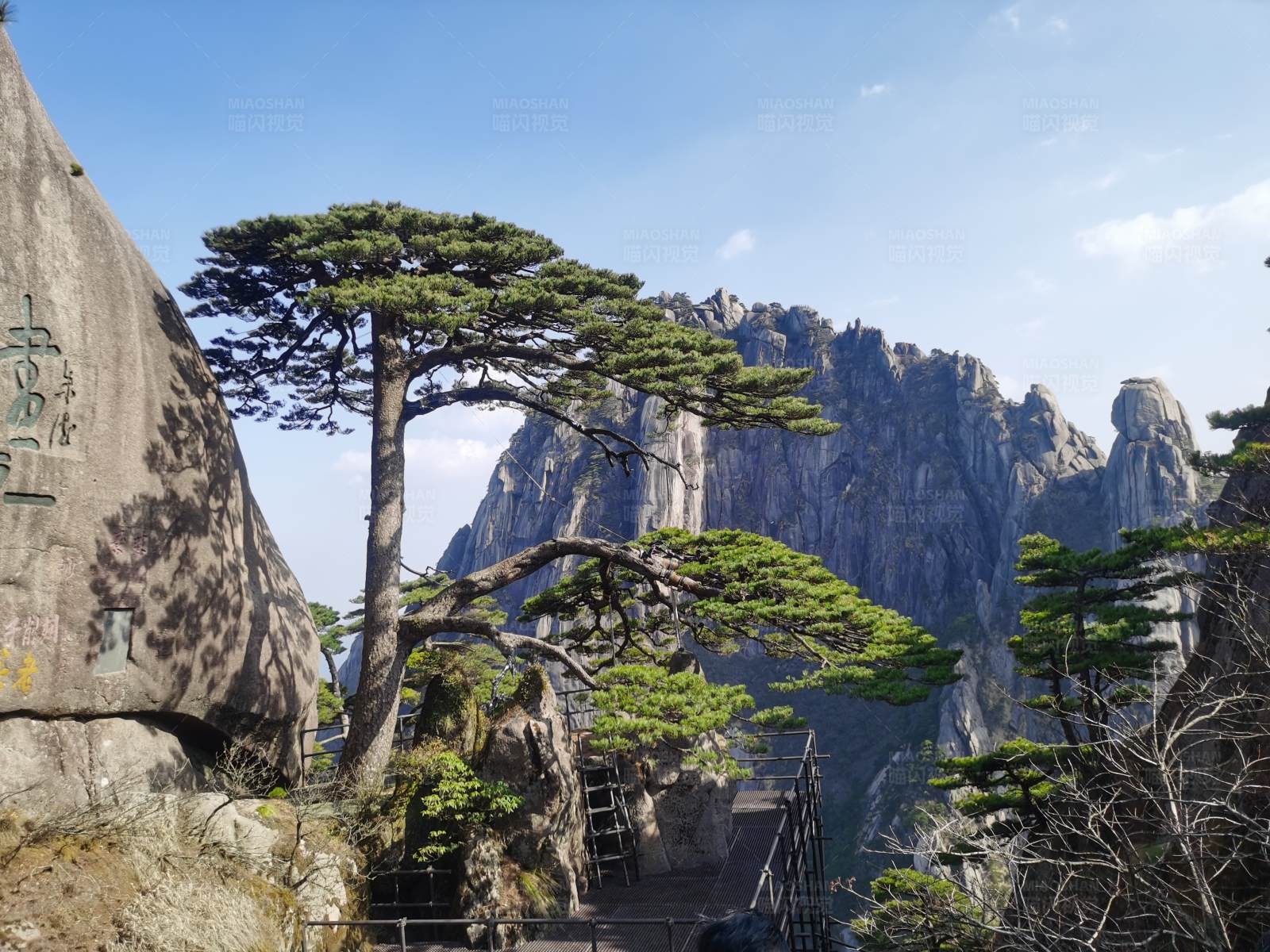 黄山迎客松图片