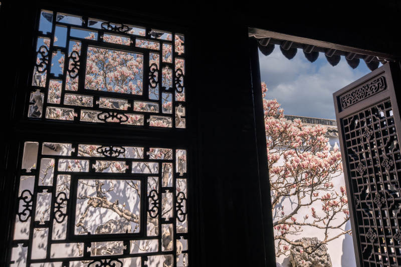 春日花开窗景图片