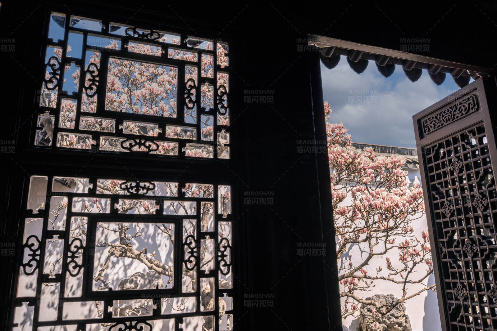 春日花开窗景图片