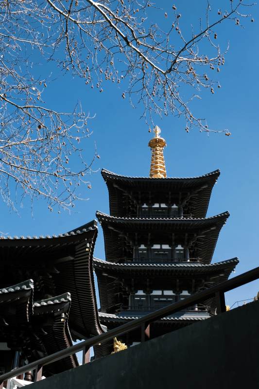 古塔冬日景图片