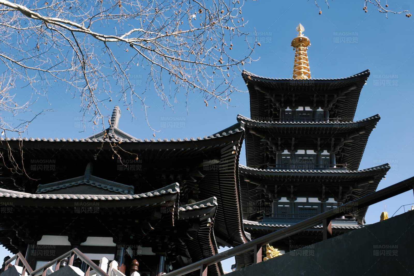 古塔金顶 春日晴空图片