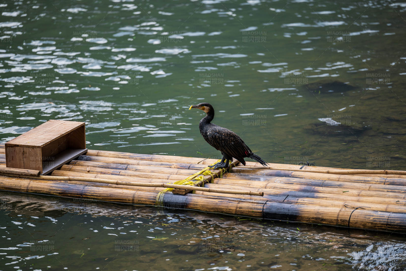竹筏上的鸬鹚图片
