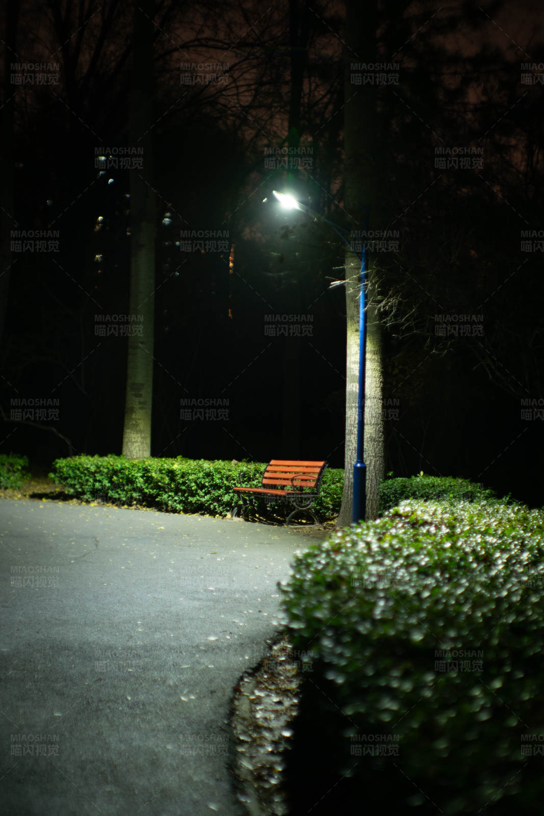 夜色公园长椅图片