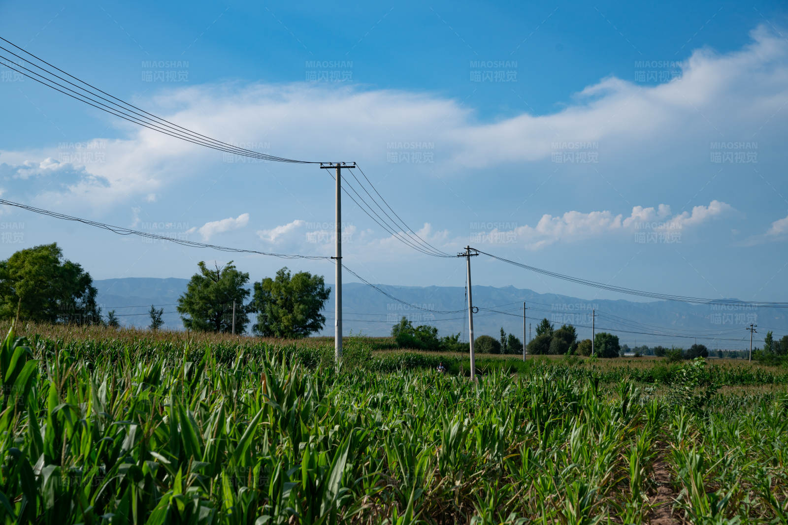 乡村田野电力线图片
