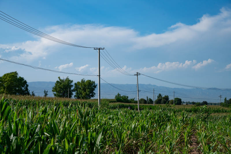 乡村田野电力线图片