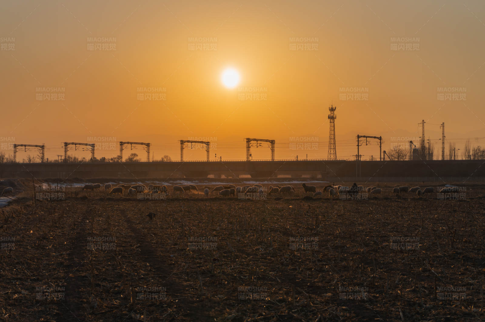 夕阳下的农田与工业图片
