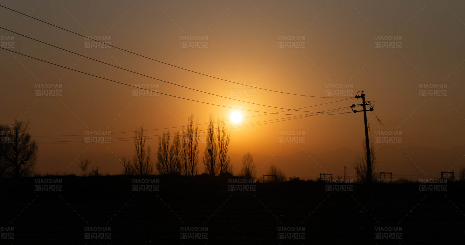 夕阳下的电线杆图片