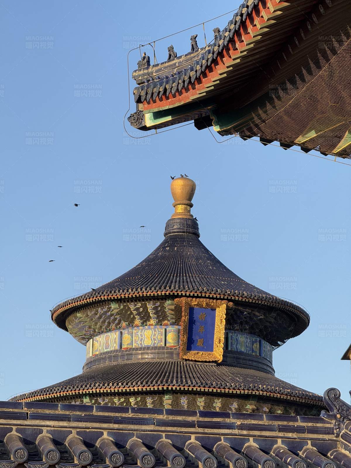 古建筑的屋顶图片