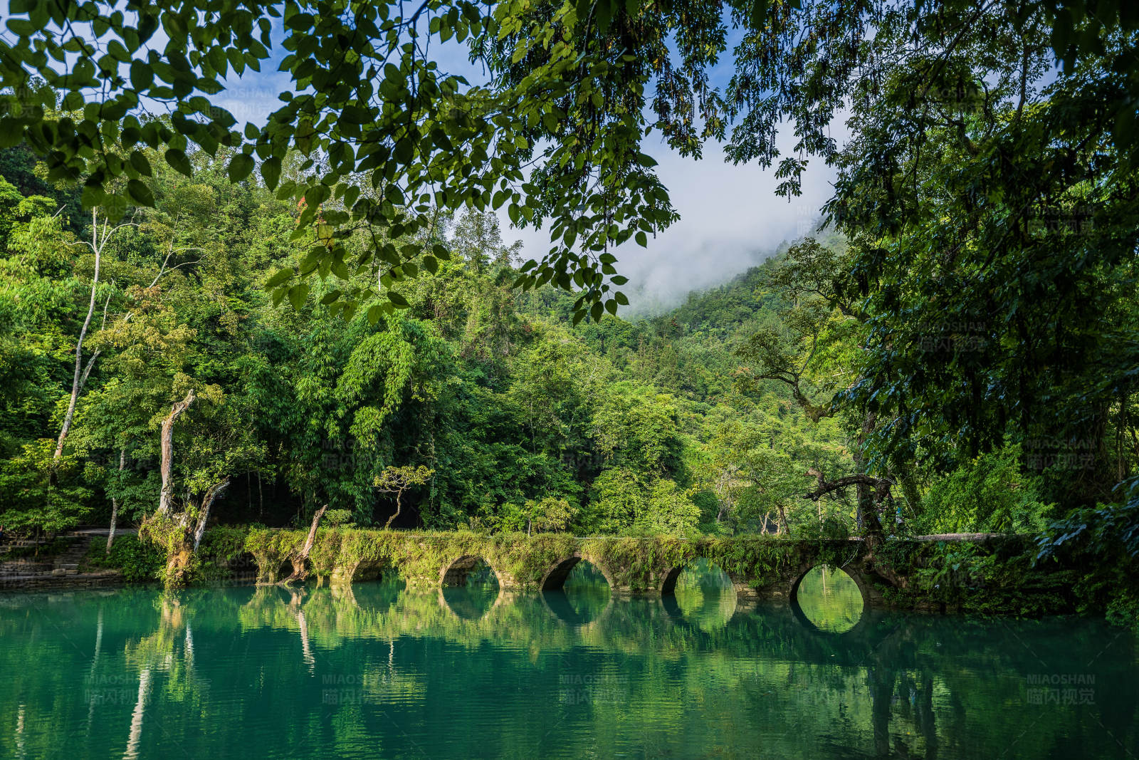 绿林古桥映水清图片