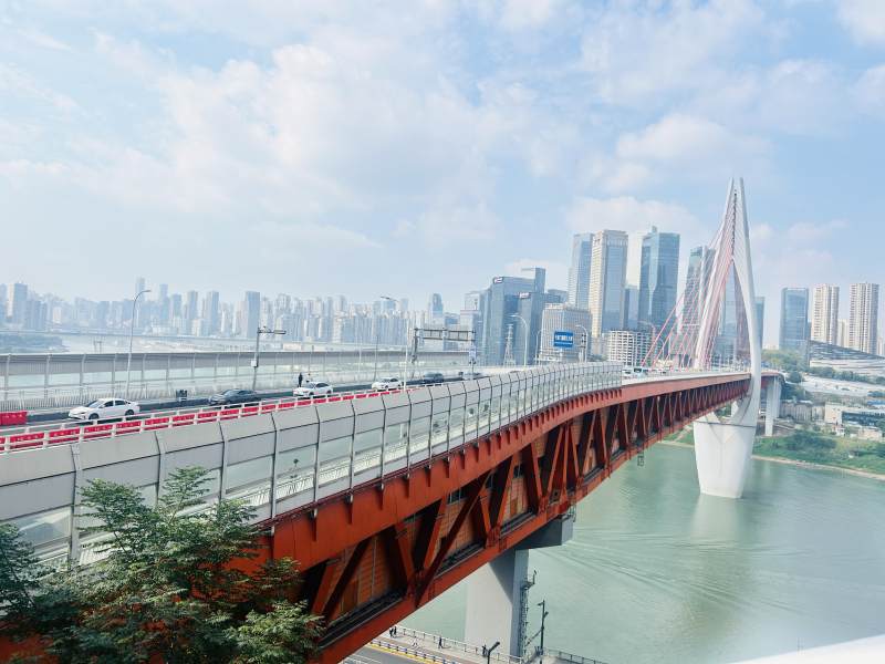 城市桥梁与天际线图片