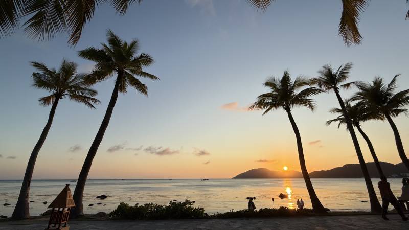 夕阳下的椰树海滩图片