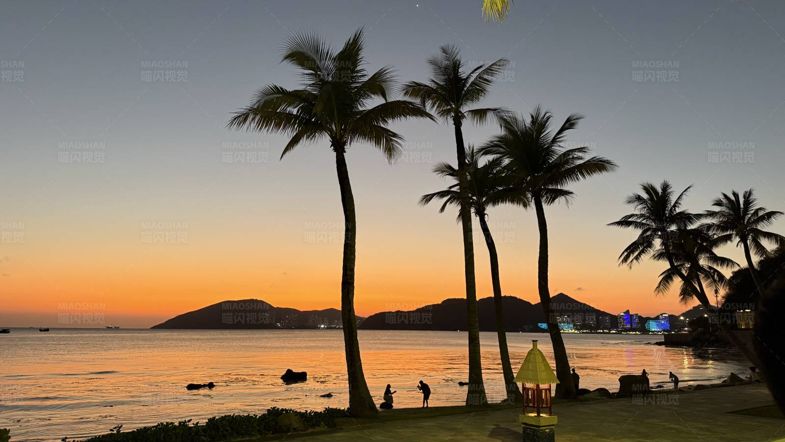 夕阳下的海滩与棕榈树图片