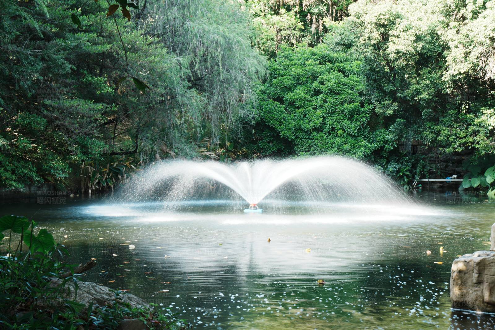 喷泉湖景图片