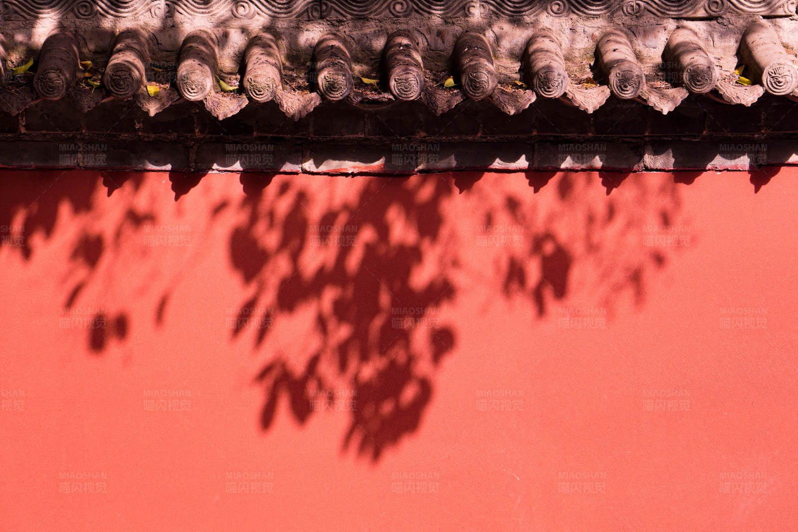 红墙上的树影图片