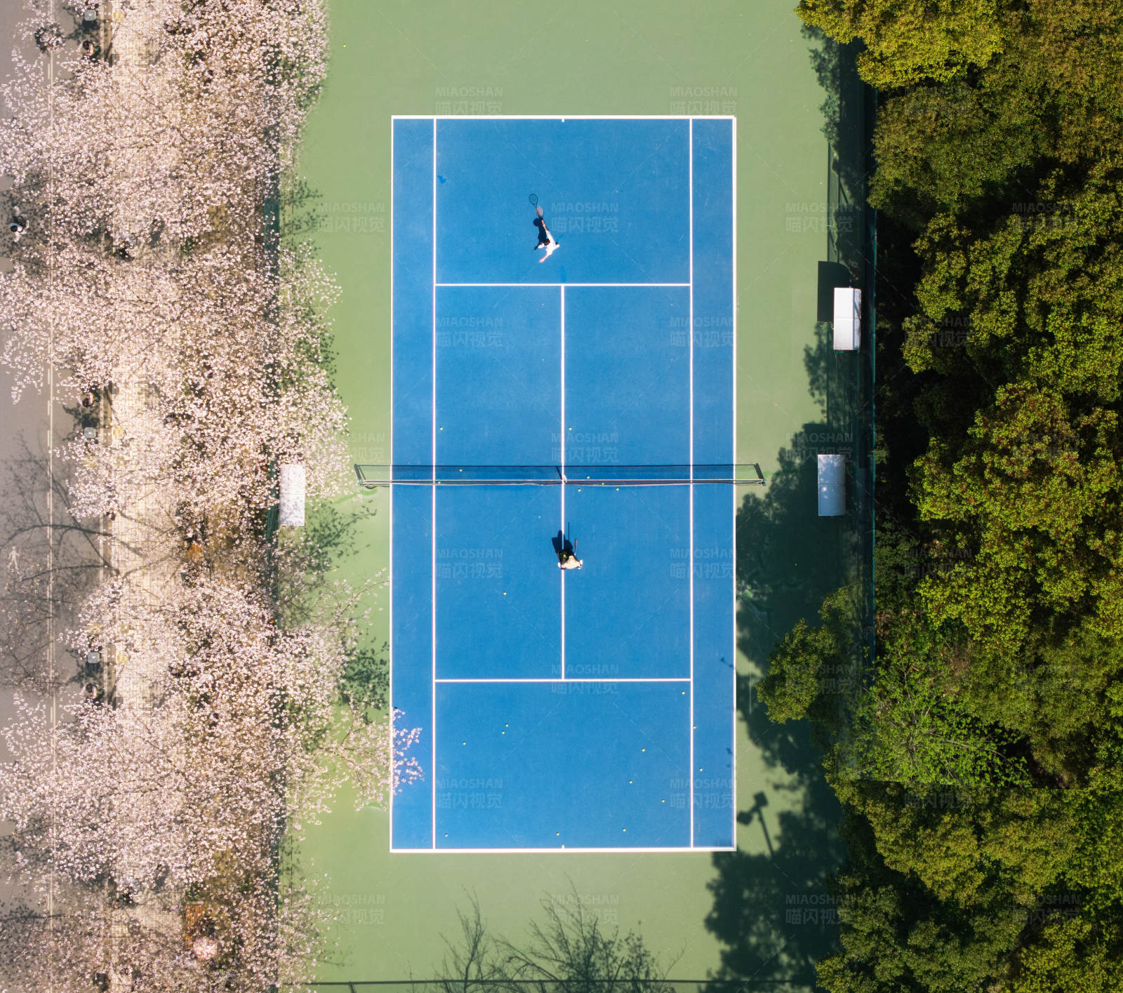 春日网球场图片