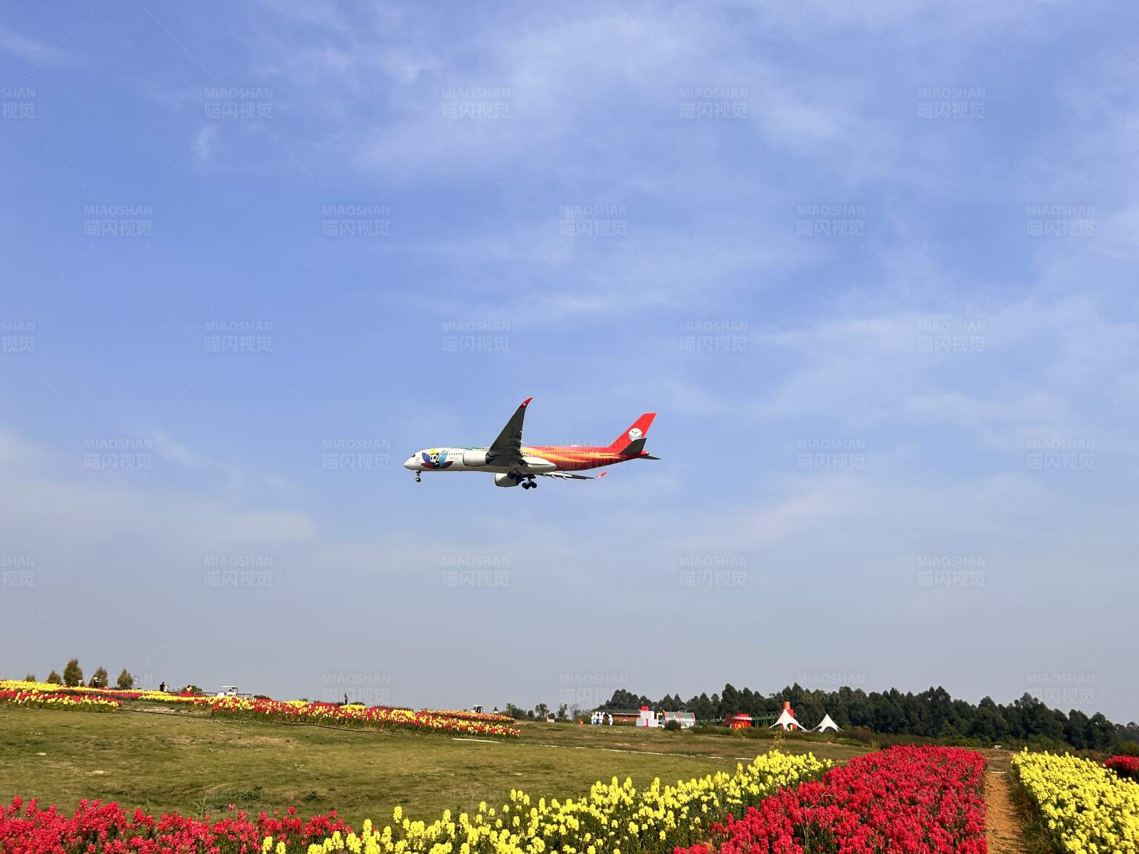 花海上的飞行图片
