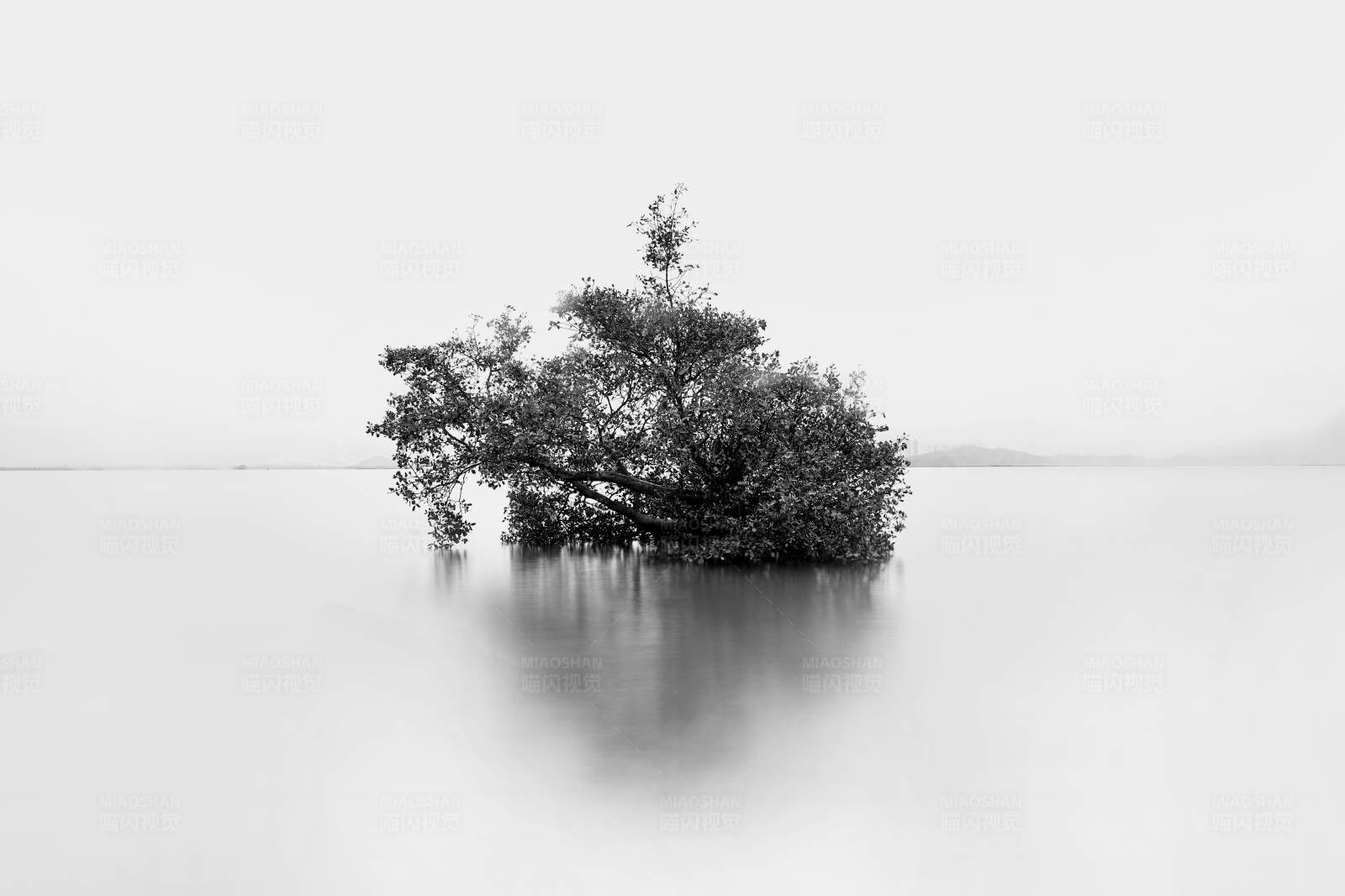 孤树静水图片