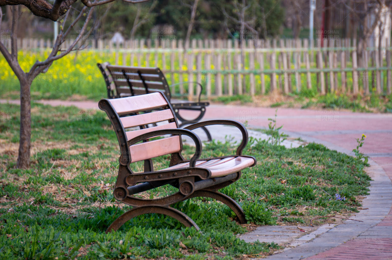 公园长椅春日景图片