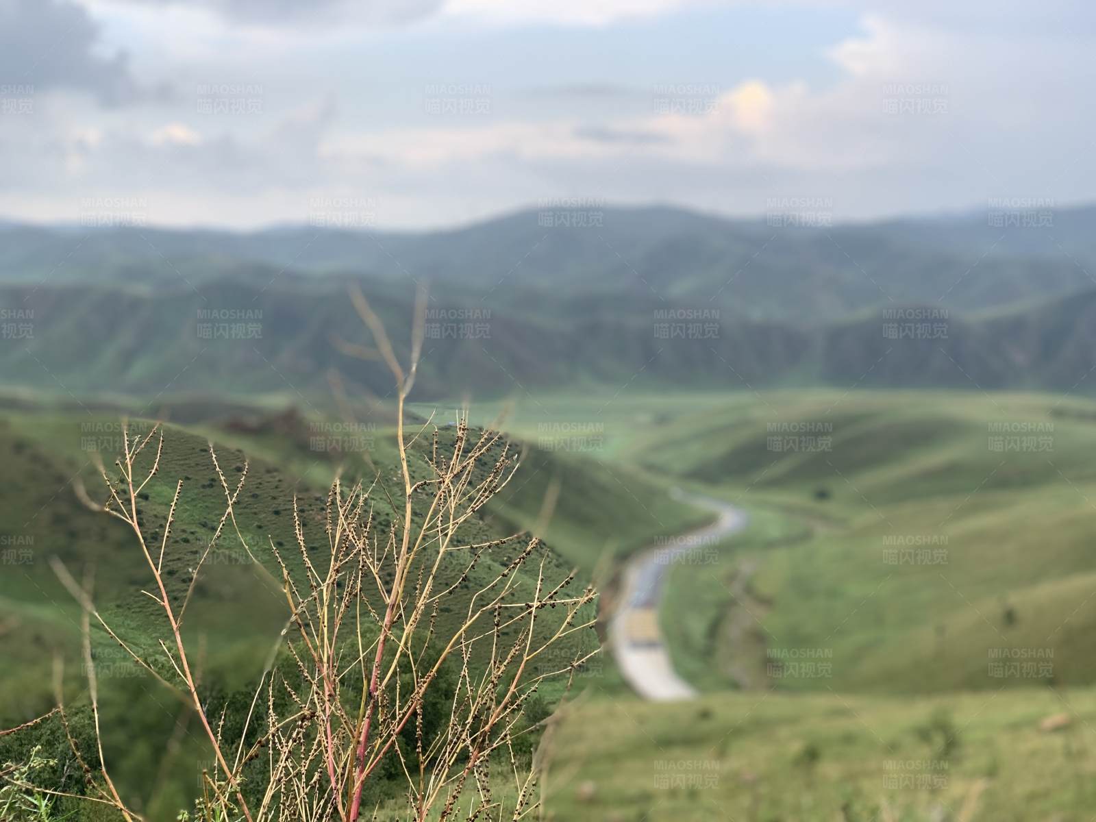 草原山丘间的蜿蜒道路图片