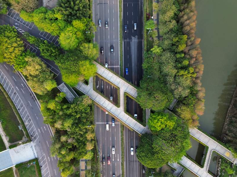 城市绿肺 交通动脉图片