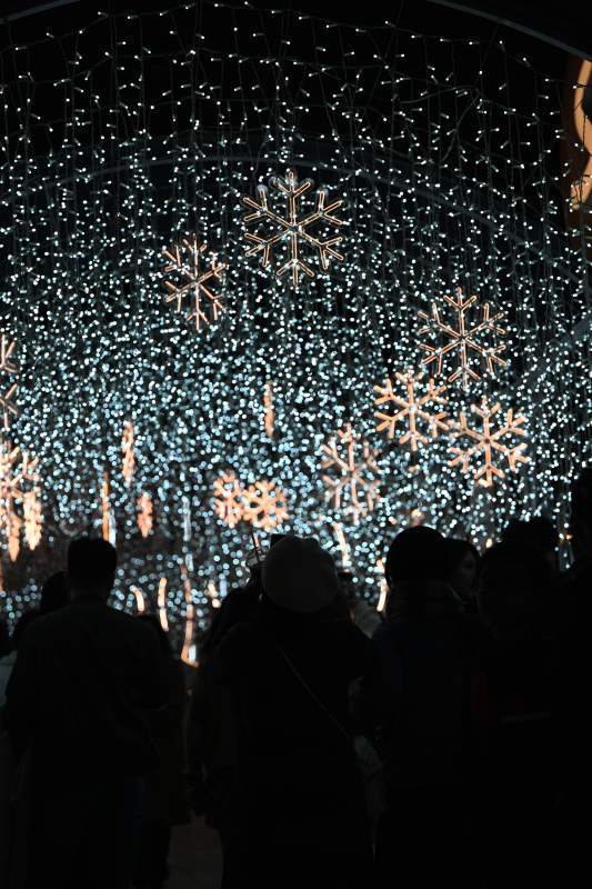 冬日灯火阑珊夜图片