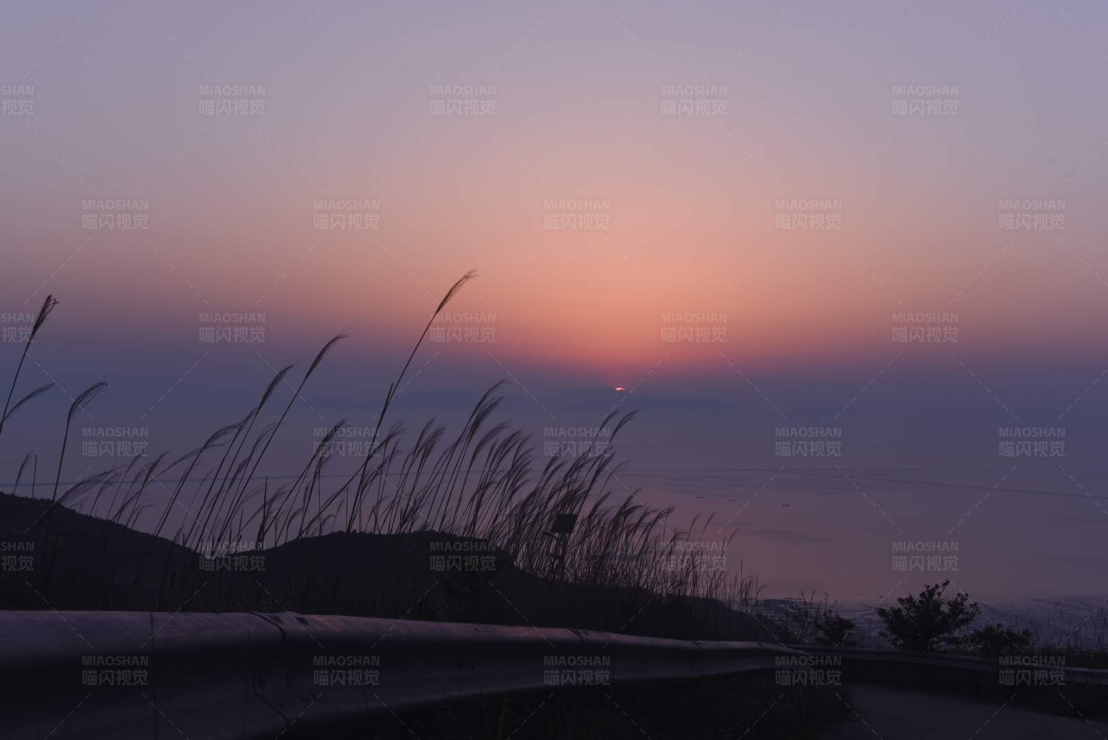 夕阳西下 草影摇曳图片