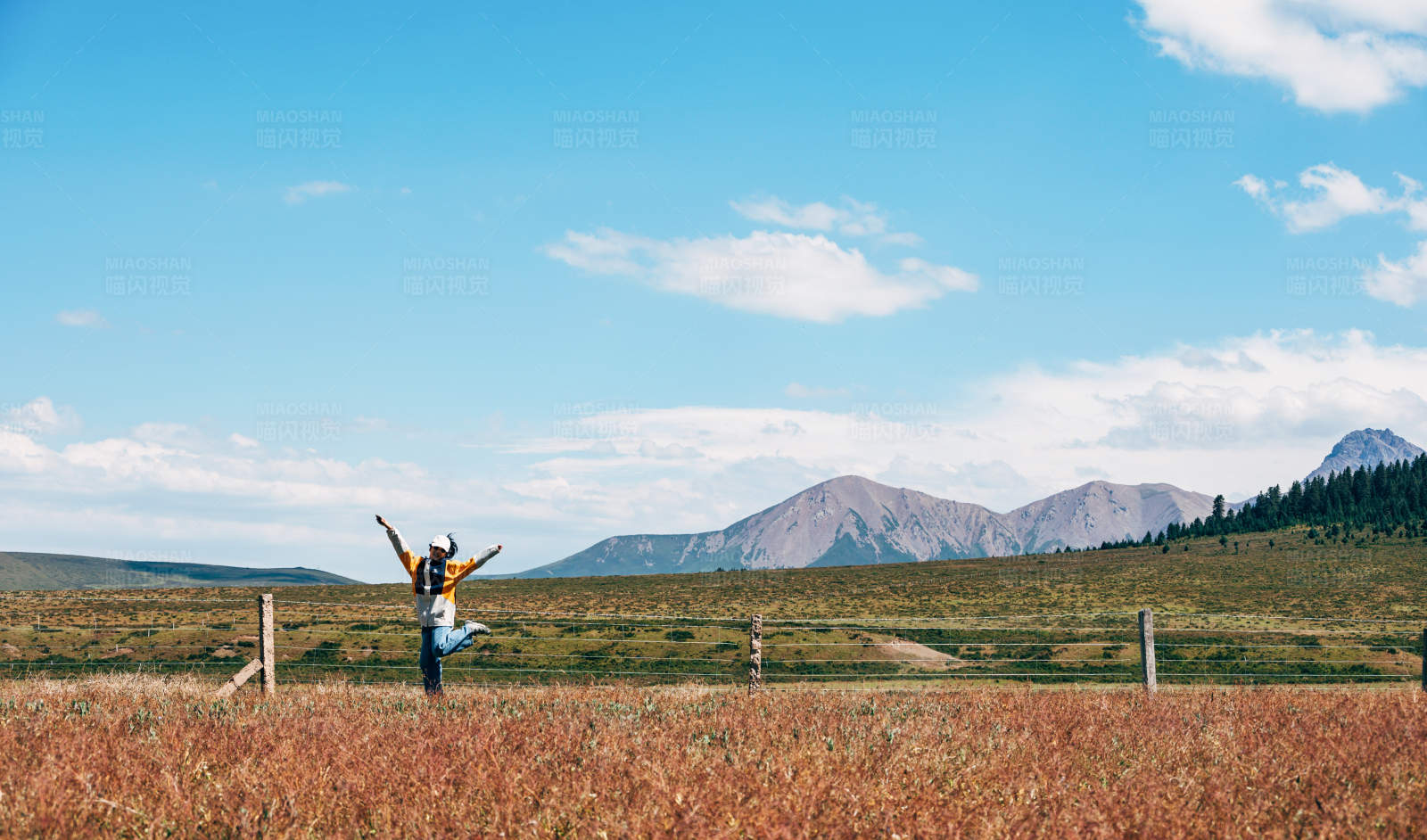 草原上的自由跳跃图片