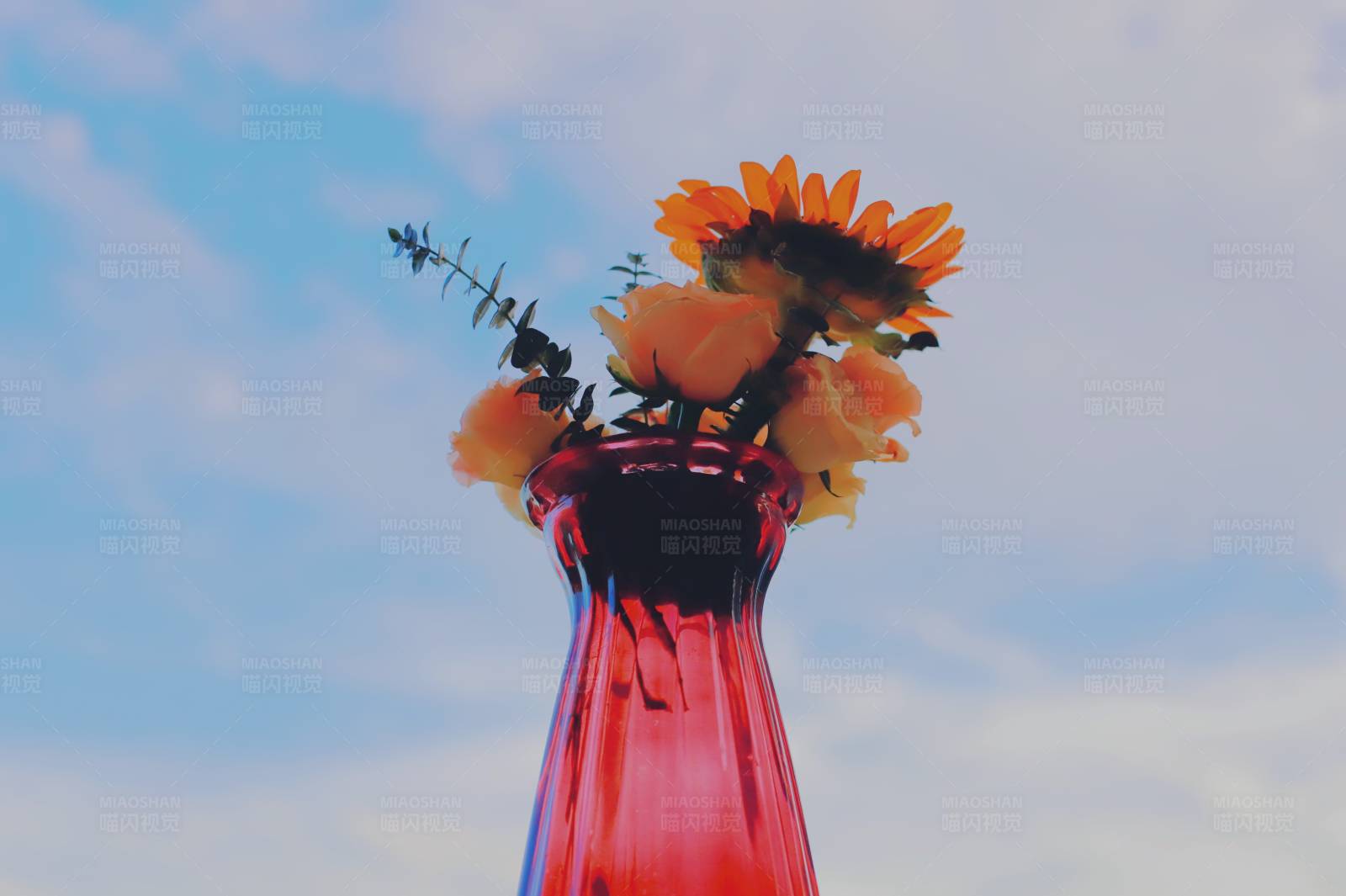 花瓶中的向日葵图片