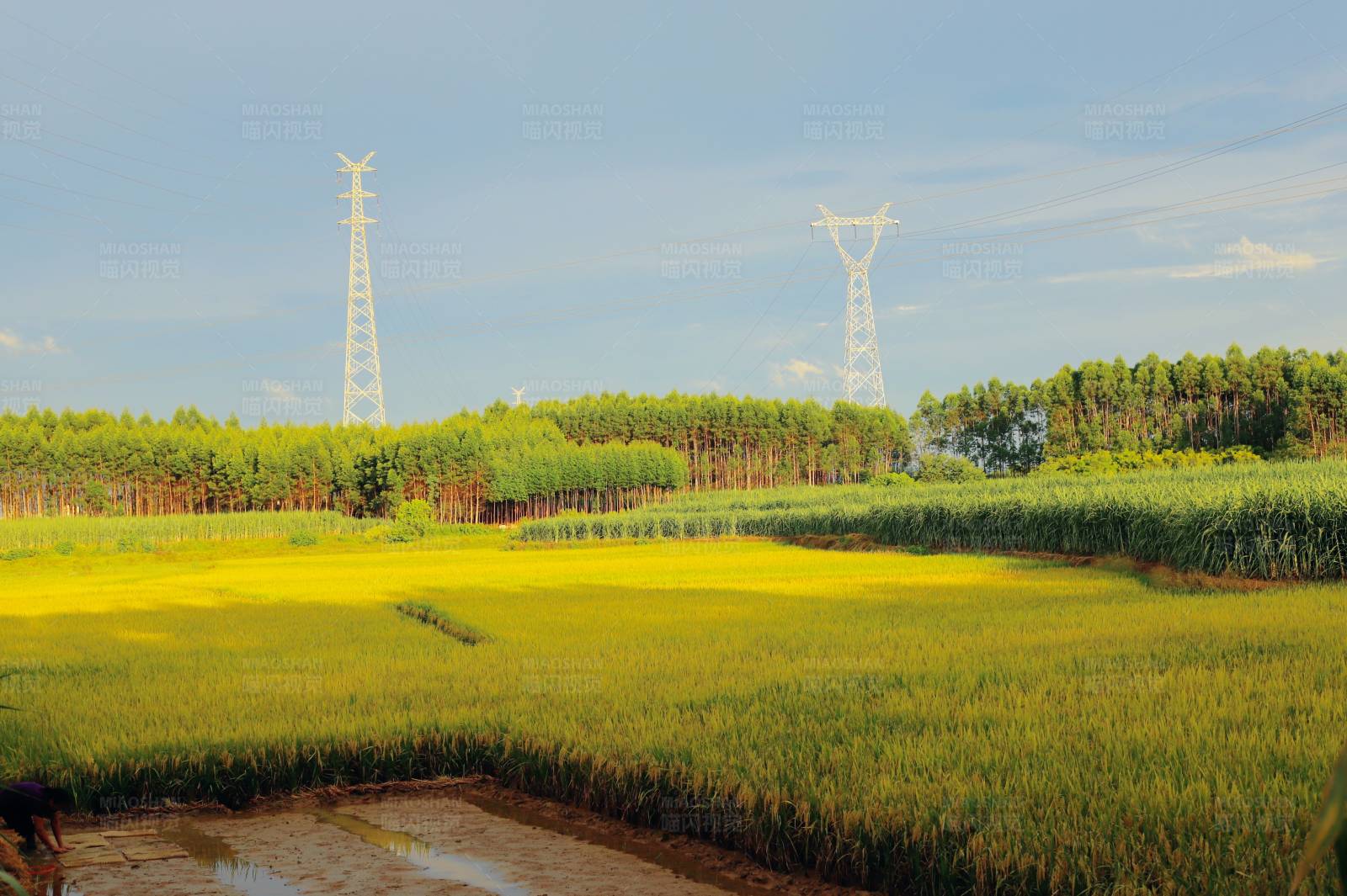 田野风光与高压线塔图片
