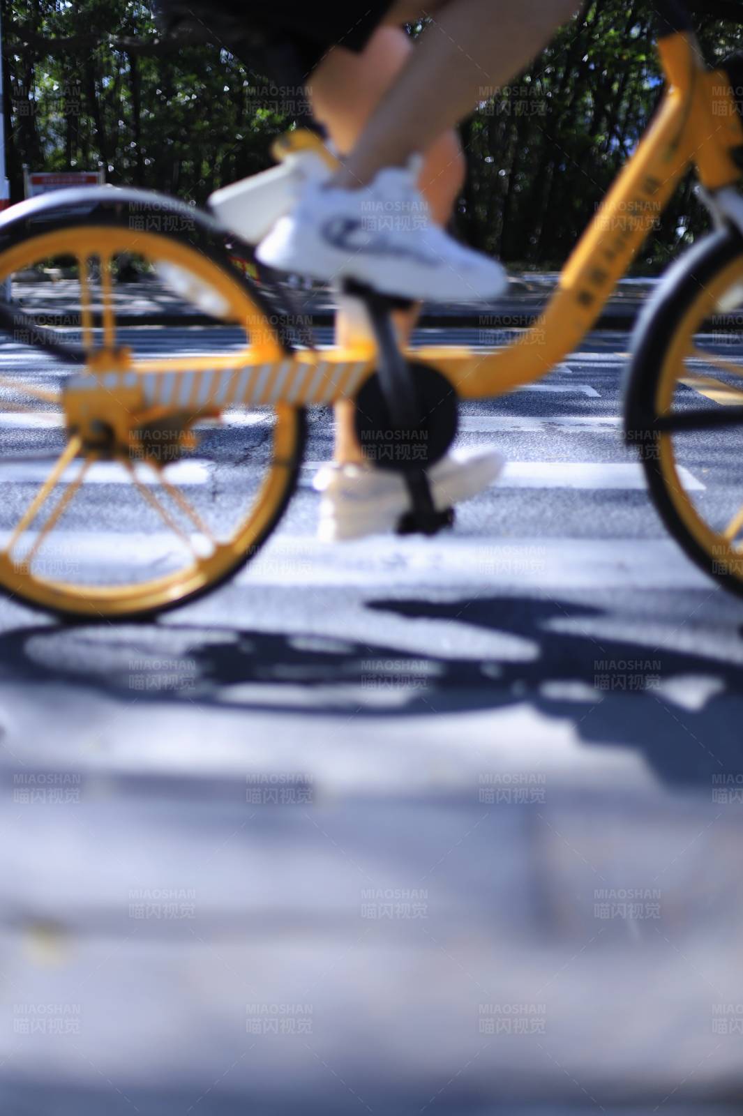 骑车人的影子图片