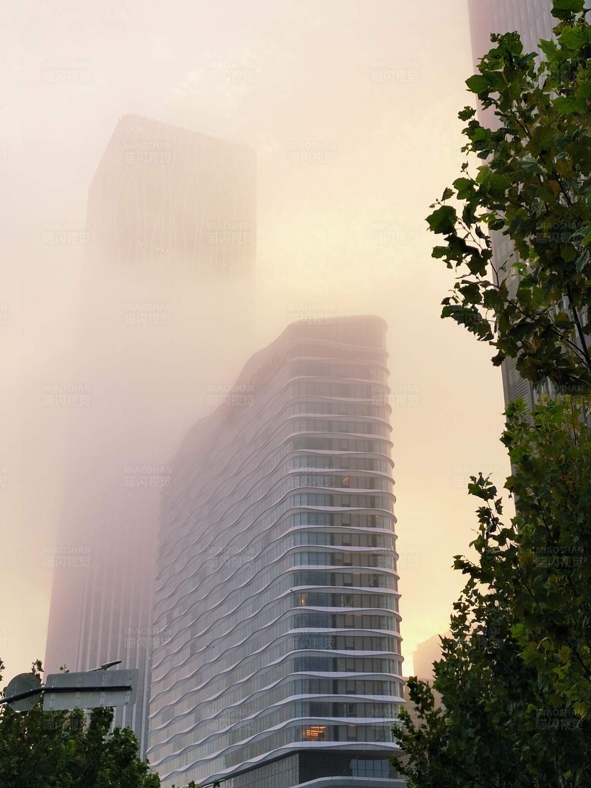 早晨雾中高楼图片