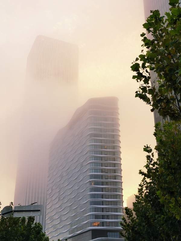 早晨雾中高楼图片