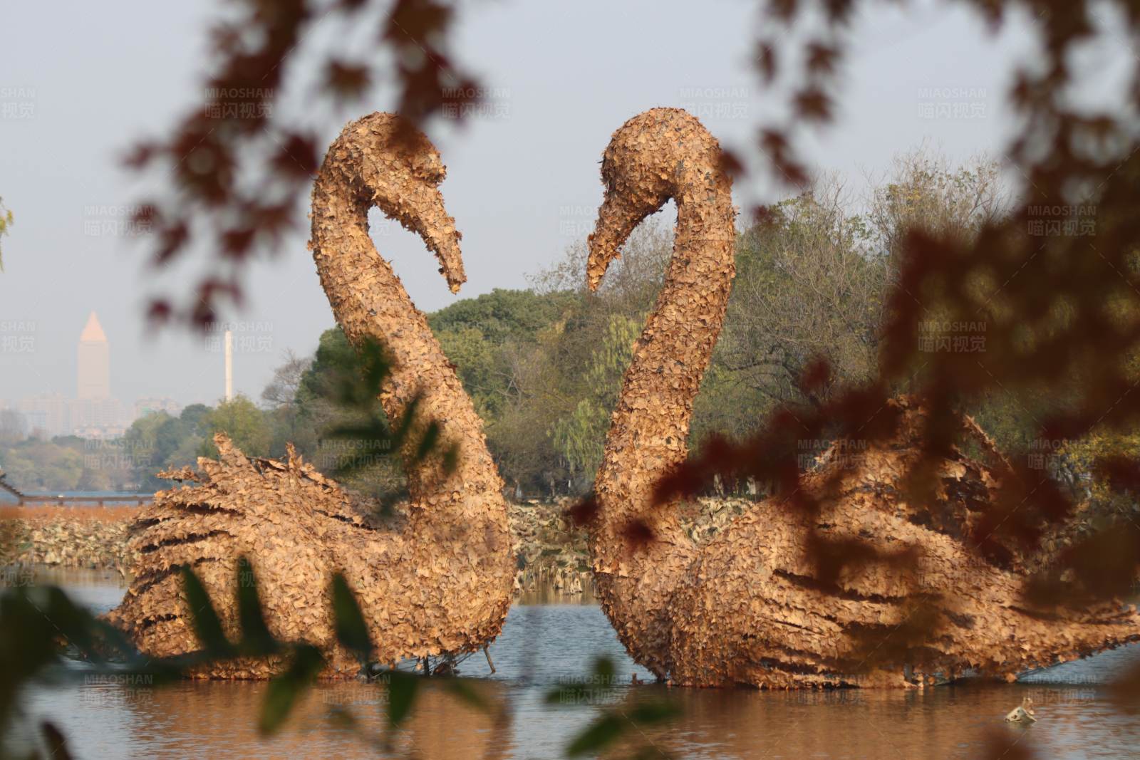 湖畔双天鹅雕塑图片