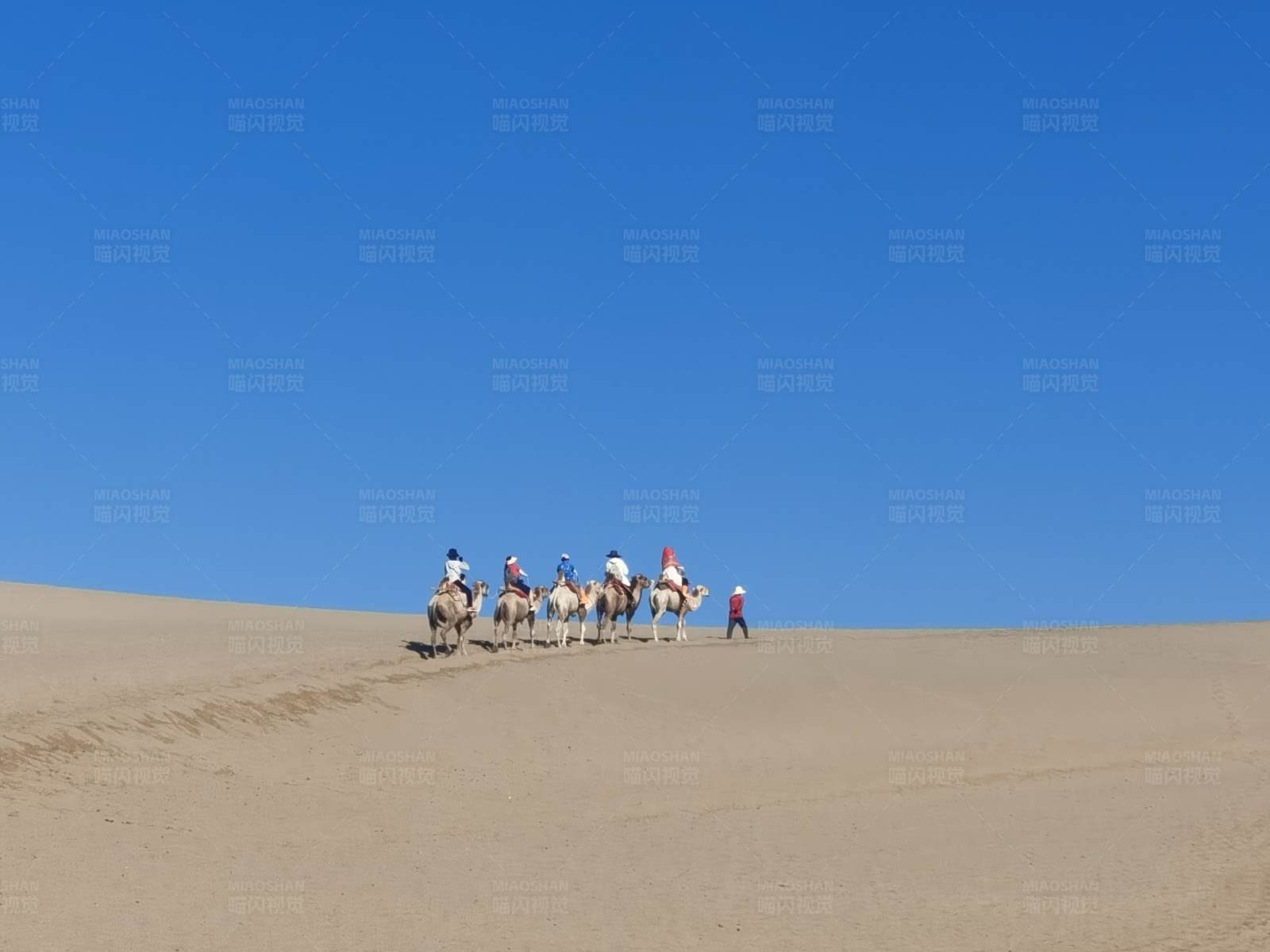 鸣沙山沙漠驼队行图片