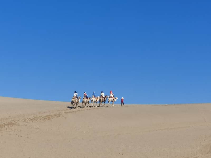 鸣沙山沙漠驼队行图片