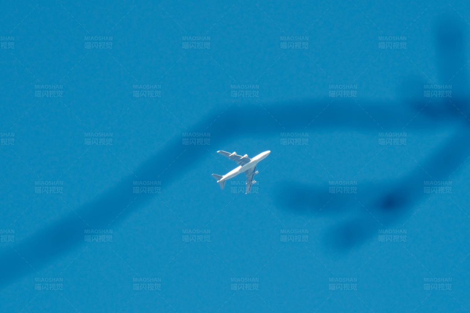 蓝天下的飞行图片