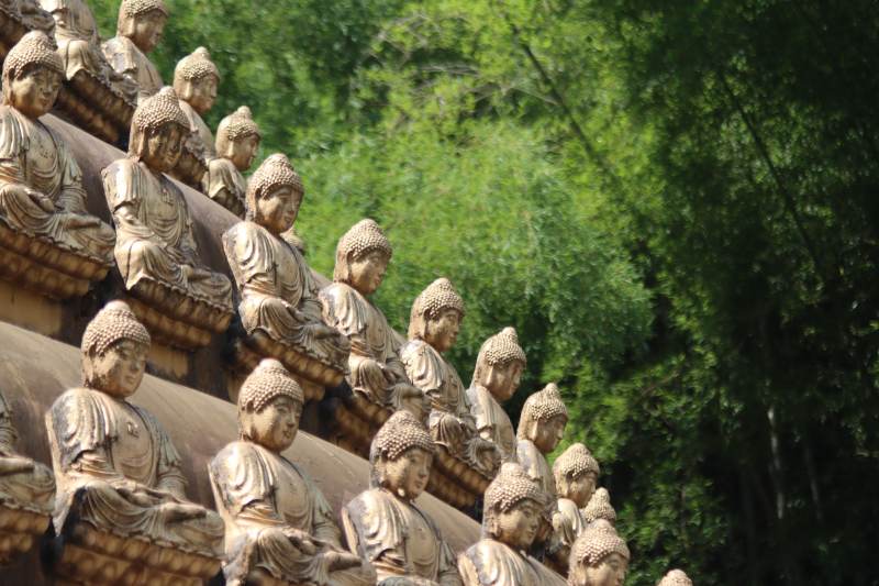 佛像林立 禅意盎然图片