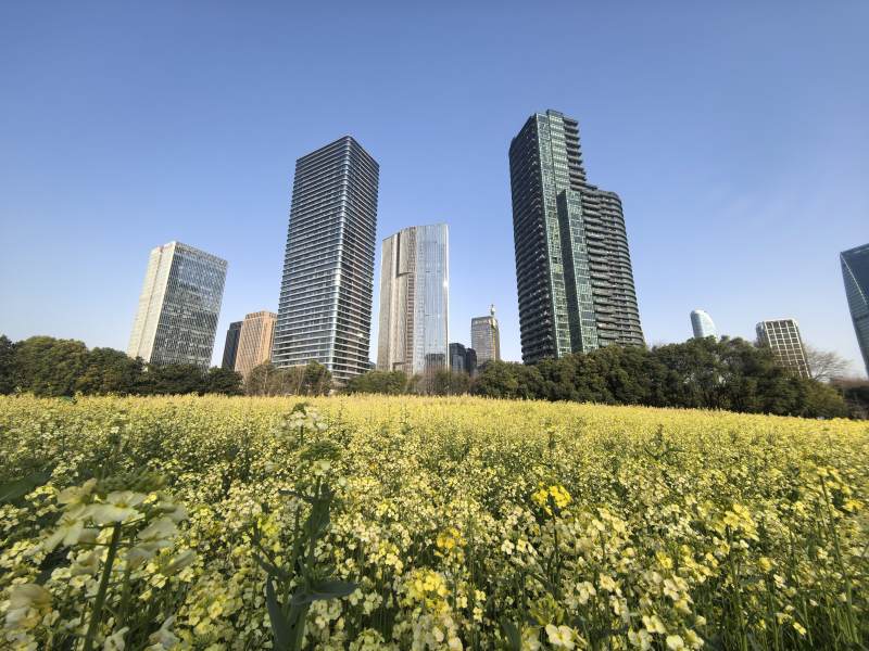 城市与自然的和谐共存图片