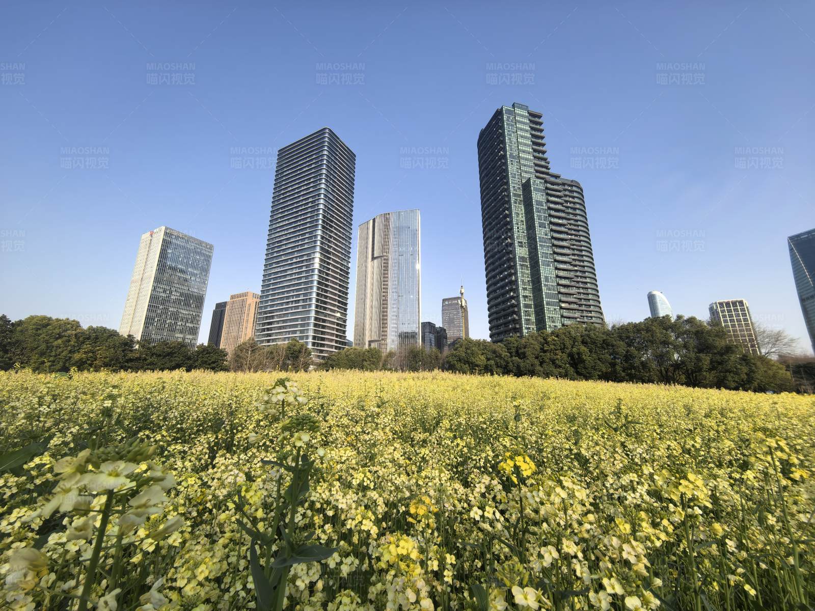 城市与自然的和谐共存图片