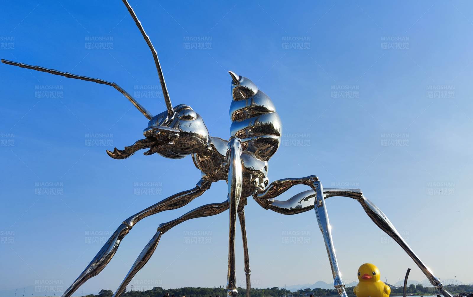 巨型蚂蚁雕塑与小黄鸭图片