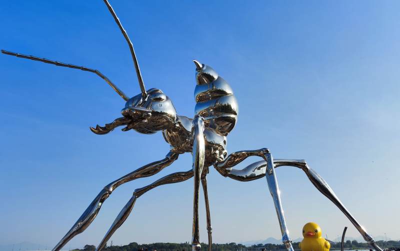 巨型蚂蚁雕塑与小黄鸭图片