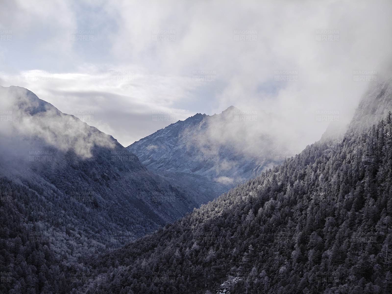 雪雾缭绕的山谷图片