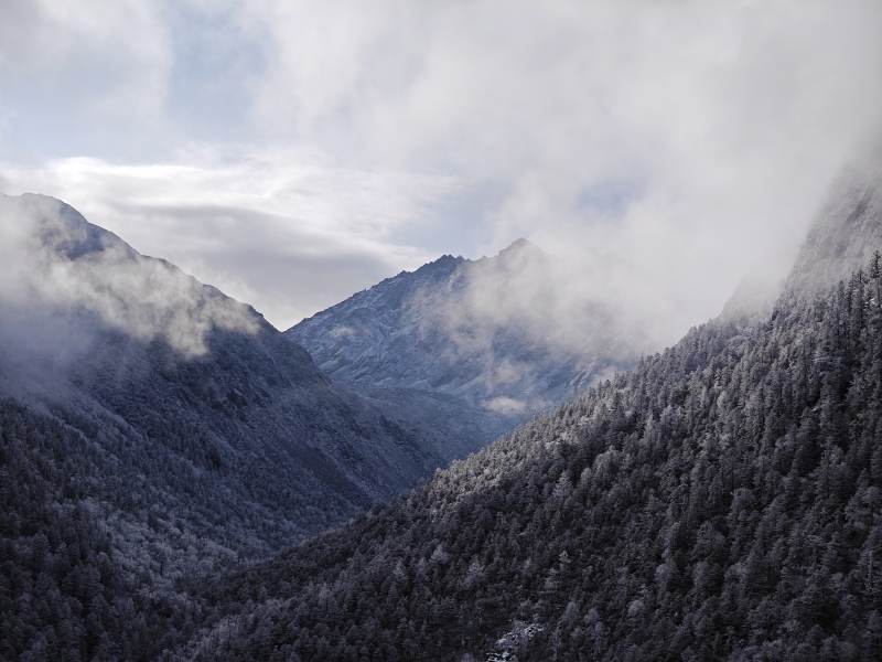 雪雾缭绕的山谷图片