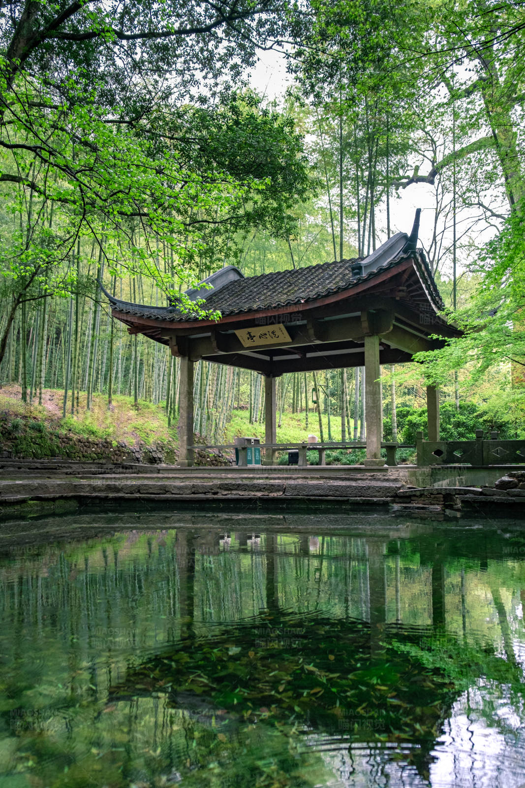 竹林古亭映水静图片