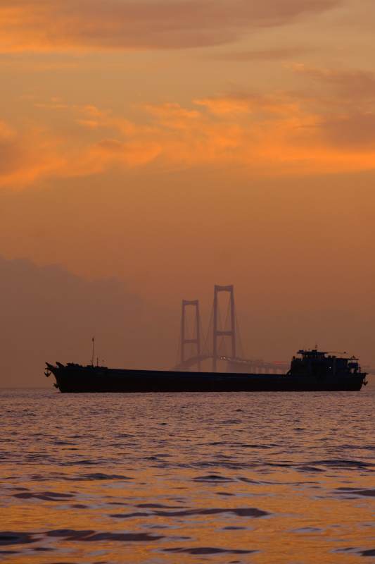 夕阳下的货船与大桥-深中通道图片