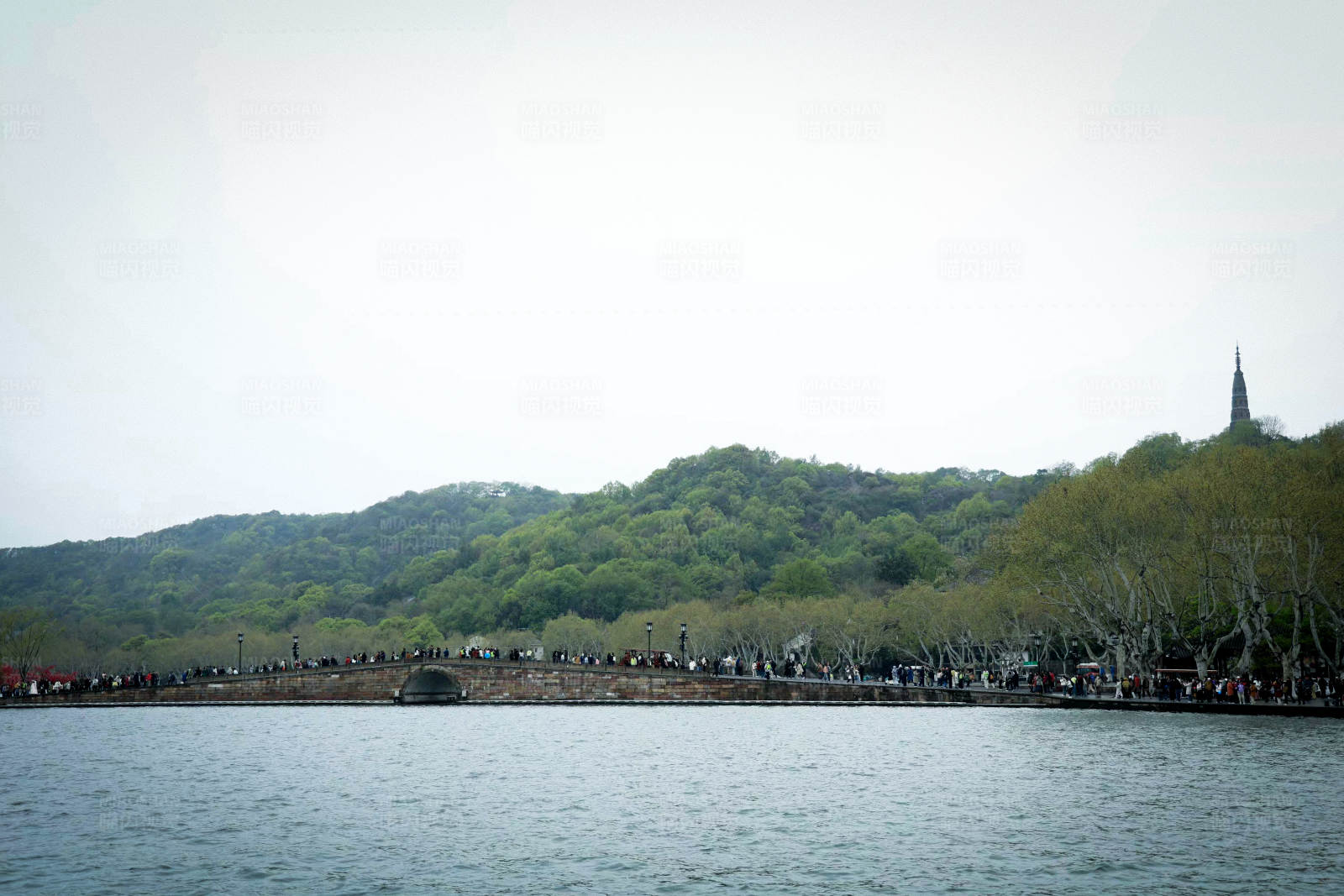 杭州西湖断桥春景图片