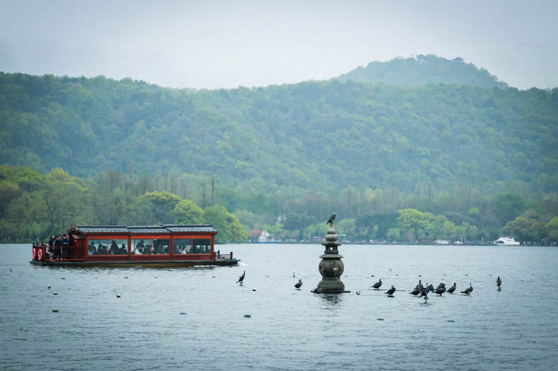 杭州西湖游船与鸟群图片