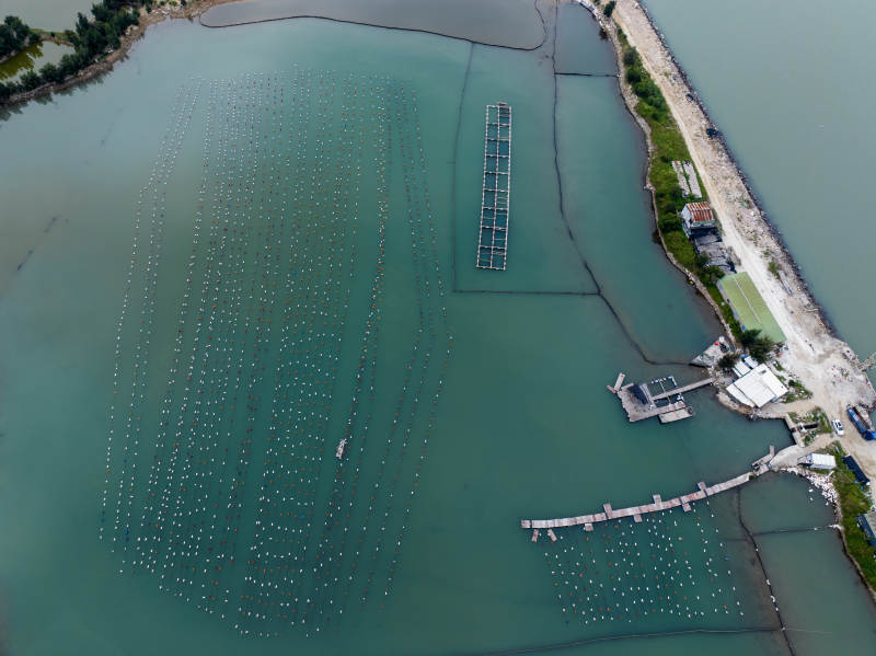 海面养殖区俯瞰图图片