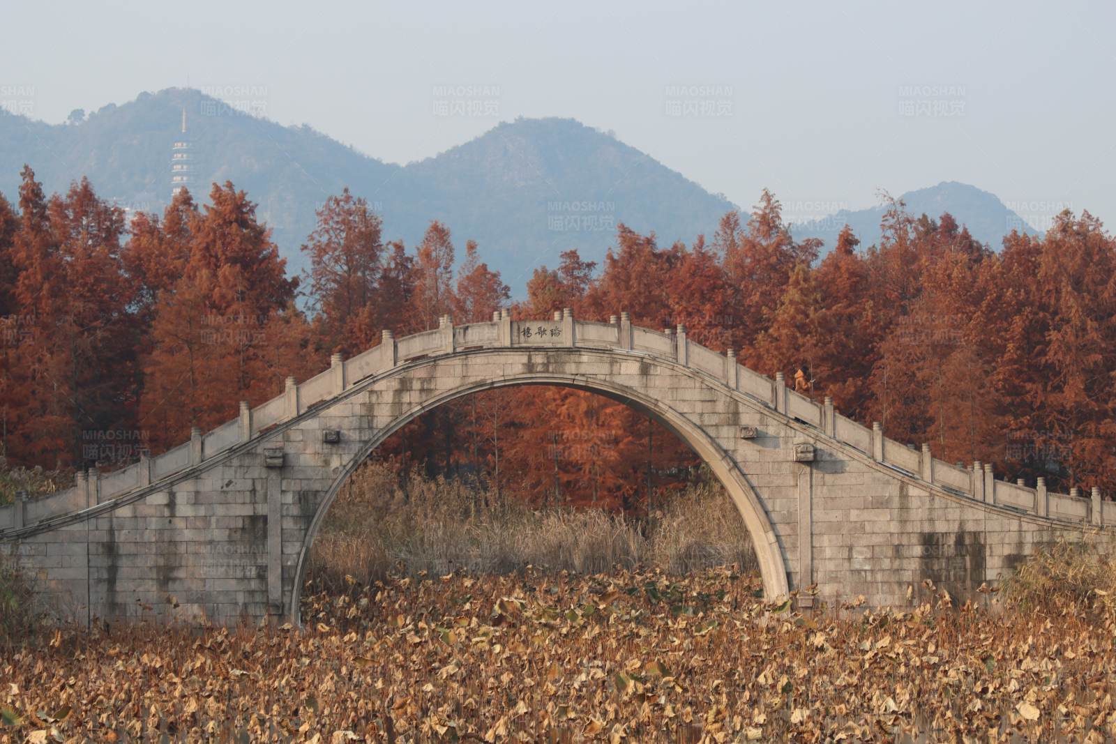 杭州萧山湘湖秋日古桥图片